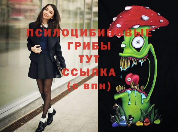 хмурый Волоколамск