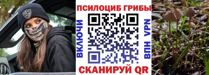 Купить  Михайловск  Псилоцибиновые грибы прущие грибы 